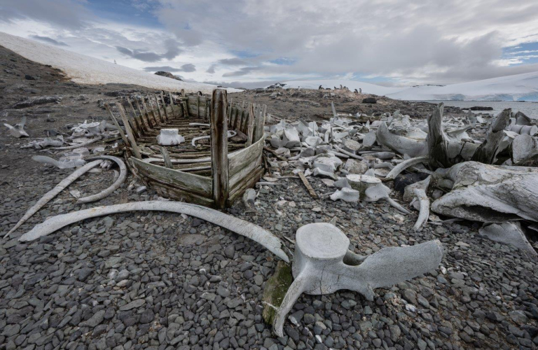 Bark EUROPA Gerlache Strait Trinity/Spert Islands, Mikkelsen harbour and Cierva Cove by Jordi Plana Morales