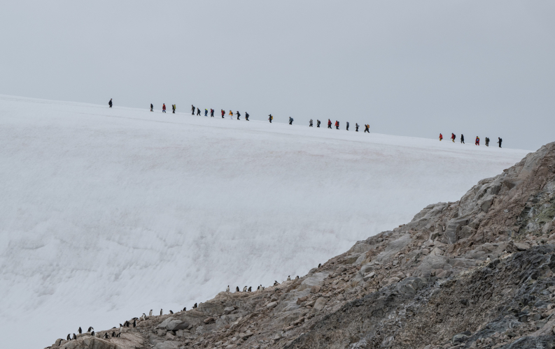 Gerlache strait Jordi Plana Morales