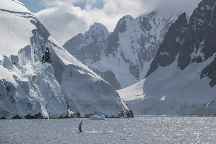 Lemaire Channel. Argentine Islands by Jordi Plana Morales