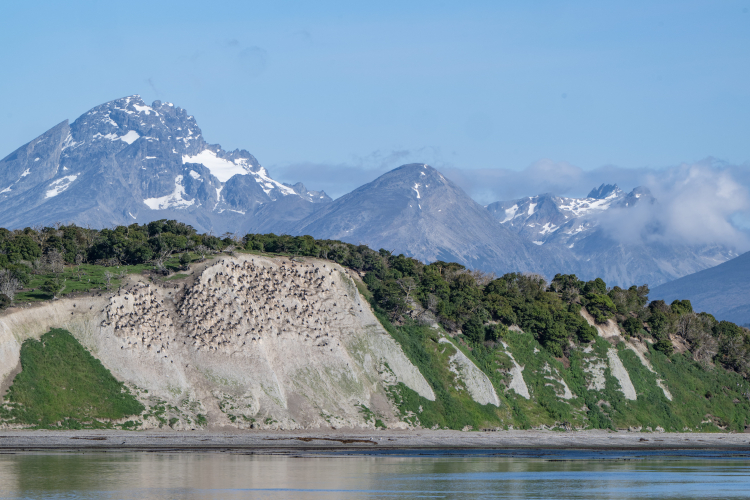 Beagle Channel - Bark EUROPA Jordi Plana Morales