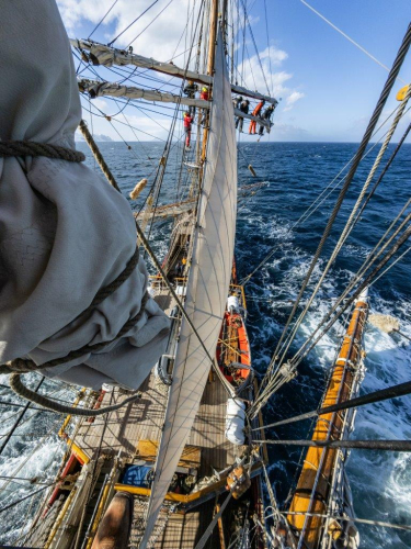 South Shetland Islands by Jordi Plana Morales Bark EUROPA