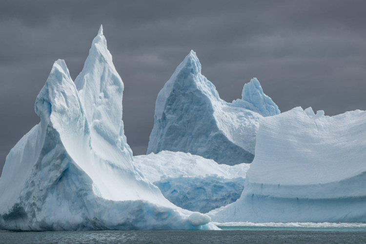 Zodiac cruise at Spert/Trinity Islands channels and icebergs by Jordi Plana Morales Bark EUROPA