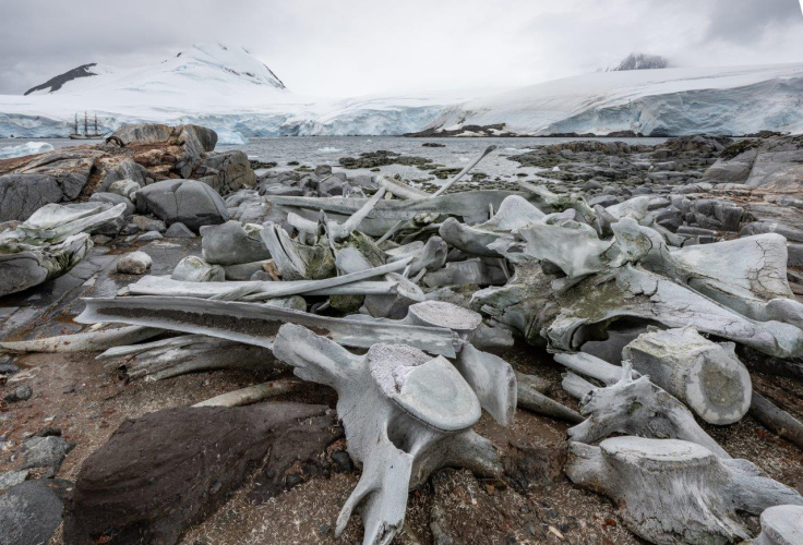 A rainy day in Antarctica