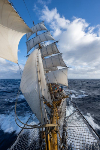 Drake Passage Bark EUROPA