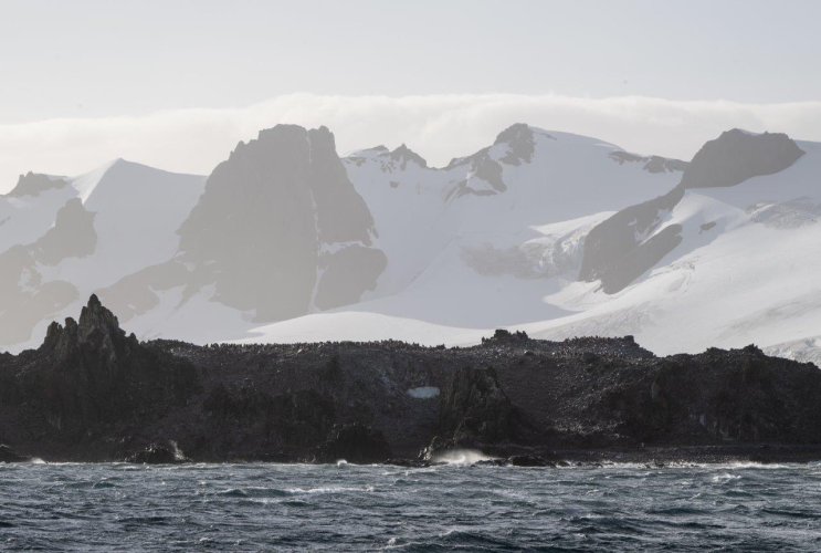 South Shetland Islands by Jordi Plana Morales Bark EUROPA