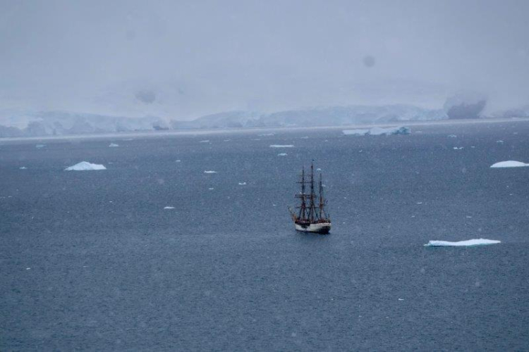 Danco & Neko landings