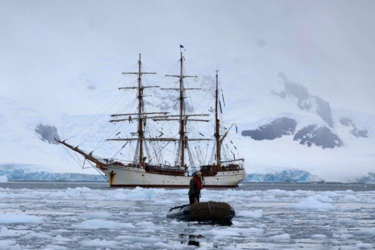 Danco & Neko landings