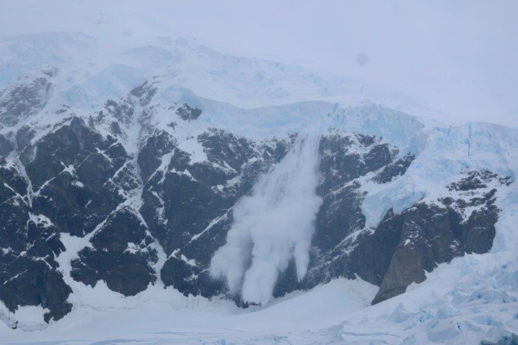 Danco & Neko landings