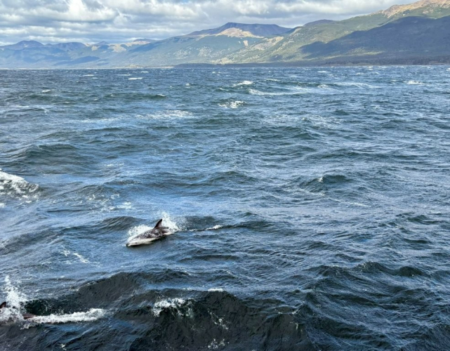 Heading out to the Drake