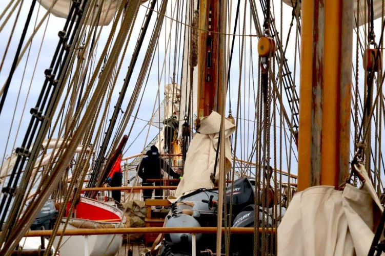 Departure day bark europa