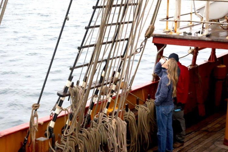 Wilhemina Bay, Orne Harbour and Orne Islands