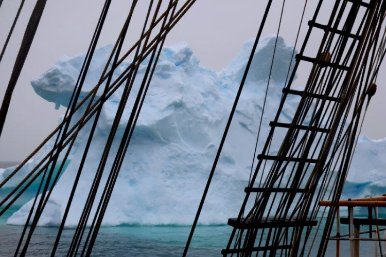 Wilhemina Bay, Orne Harbour and Orne Islands