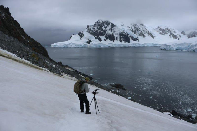 Wilhemina Bay, Orne Harbour and Orne Islands