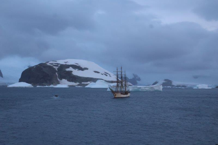 Wilhemina Bay, Orne Harbour and Orne Islands