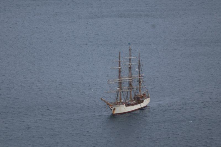 Danco & Neko landings