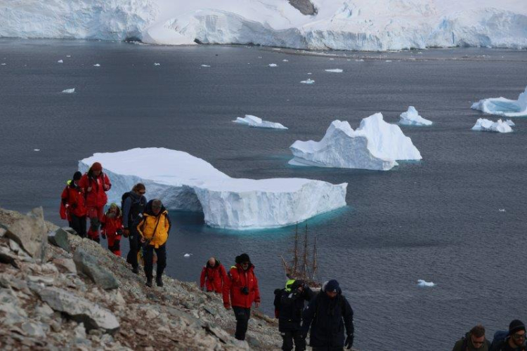 Danco & Neko landings