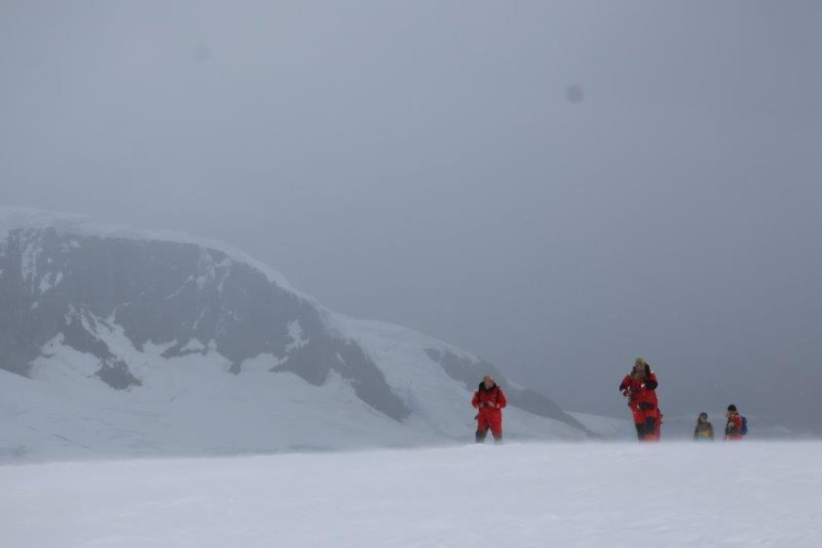 Danco & Neko landings