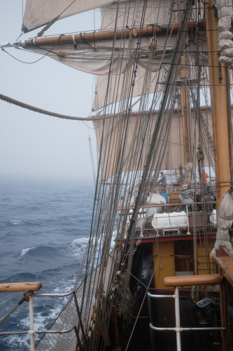 Waves passing in the night - Richard Simko ANT 3 2025