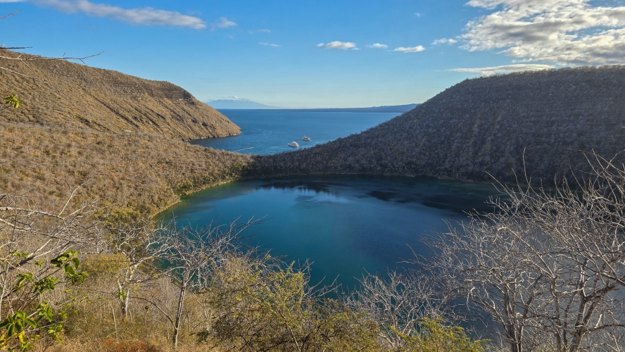 Galapagos Bark EUROPA by Zet Freiburghaus