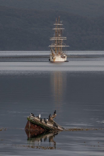 Puerto William jordi plana morales bark europa