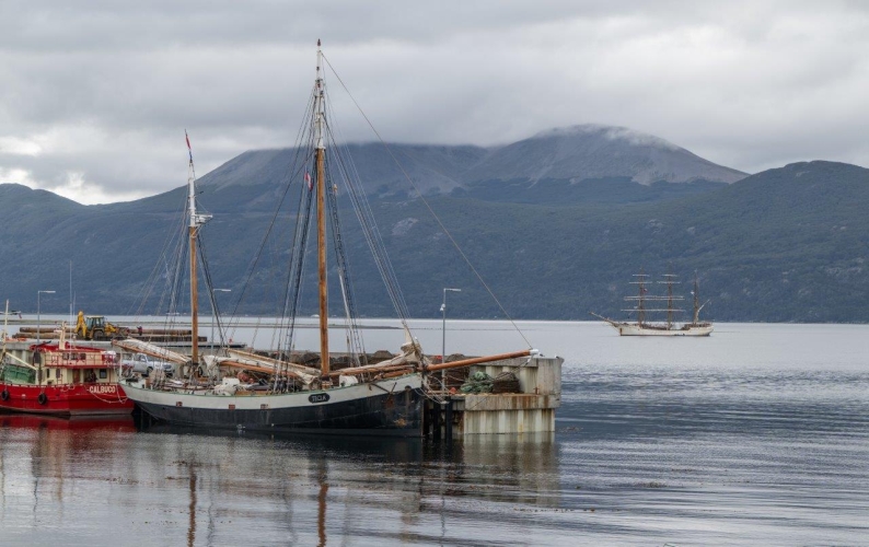 Puerto William jordi plana morales bark europa