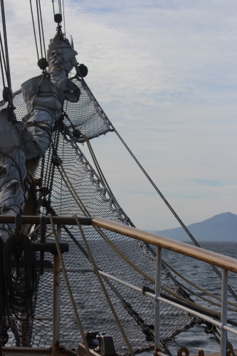 Matt Buchman Antarctica Bark EUROPA