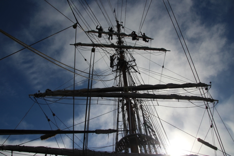 Matt Buchman Antarctica Bark EUROPA
