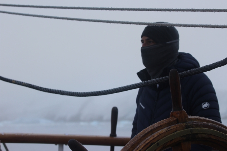 Matt Buchman Bark EUROPA