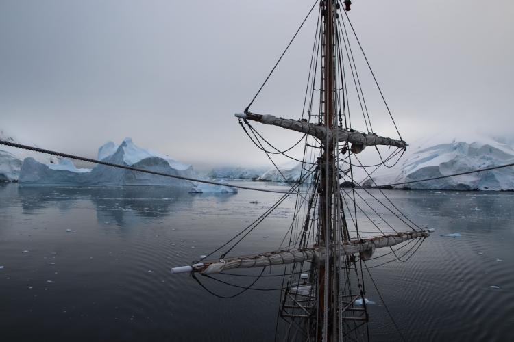 Matt Buchman Bark EUROPA
