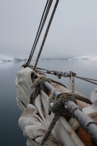 Matt Buchman Bark EUROPA