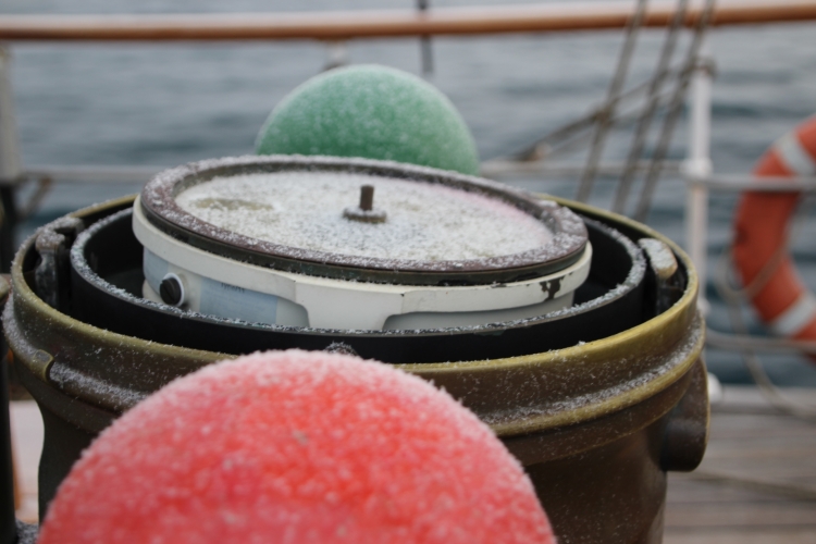 Matt Buchman Bark EUROPA