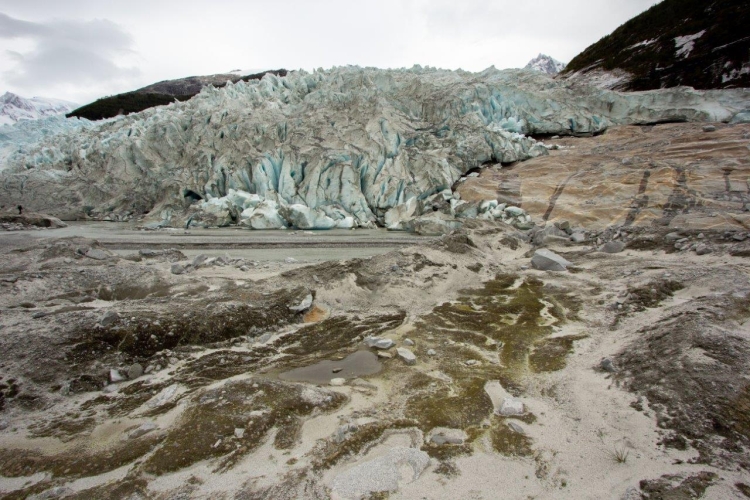 Chilean Channels - Caleta Olla, Glacier Alley and Pía Glacier - Bark EUROPA Johanne Skrefsrud