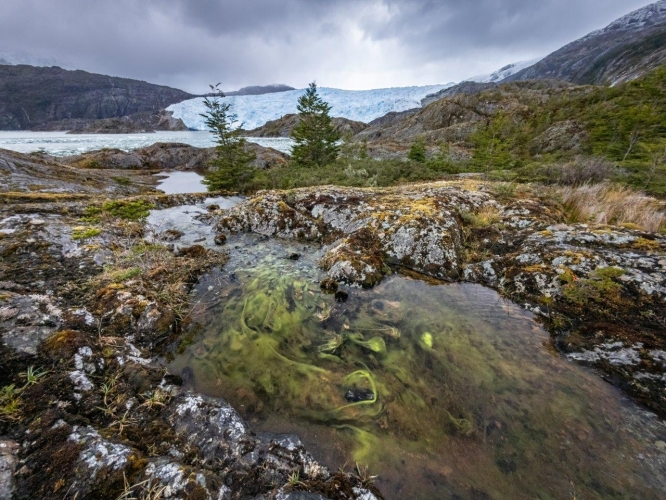 Sailing in the Chilean channels Fiordo Peel (Brujo Glacier) Bark EUROPA