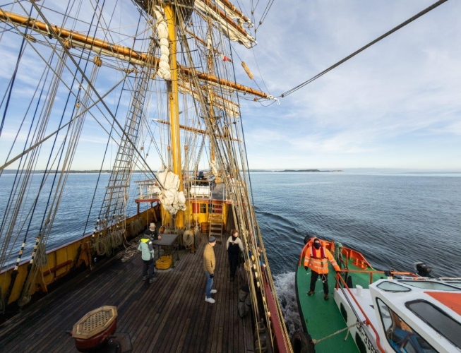 Humboldt Current Bark EUROPA