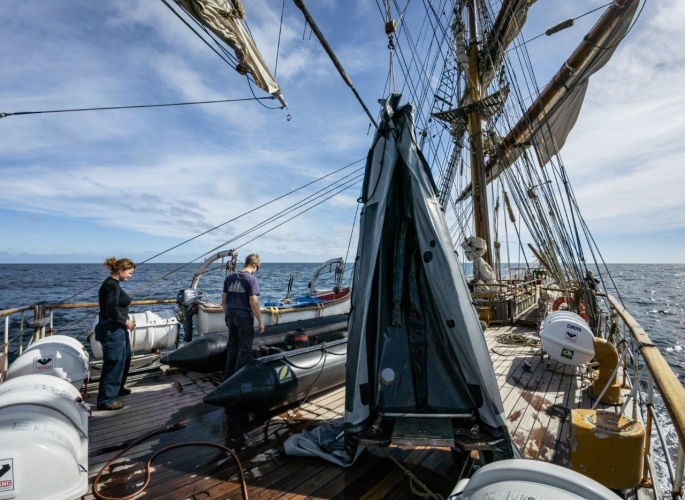 Humboldt Current Bark EUROPA