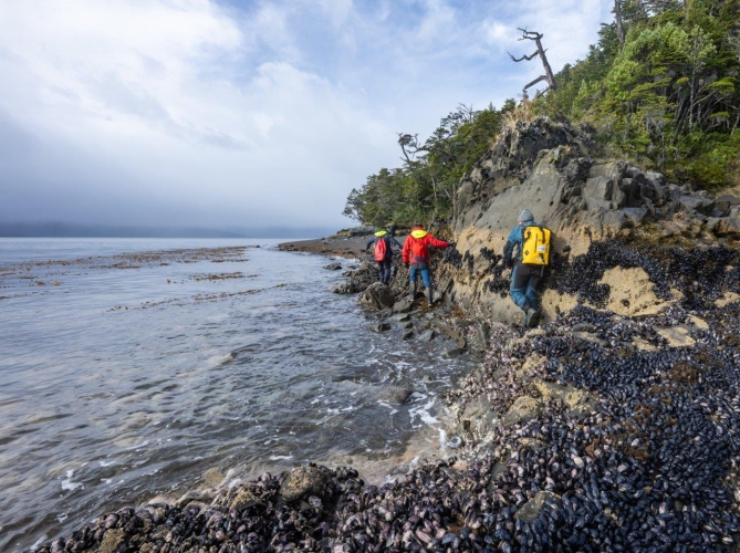 Chilean channels bark europa Jordi Plana Morales