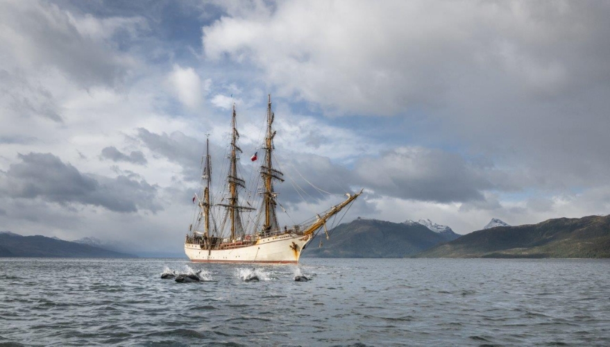 Chilean channels bark europa Jordi Plana Morales