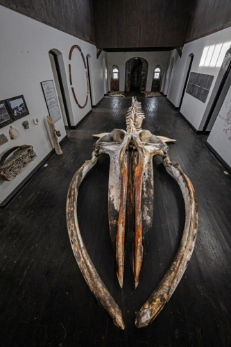 Magellan Straits Chilean Channels Jordi Plana Morales