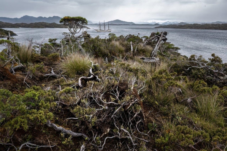 Magellan Straits and start sailing northwards along the Patagonian Fjords Bark EUROPA