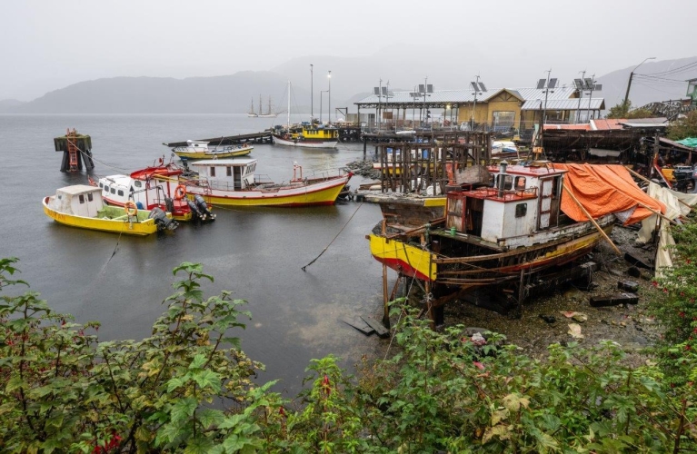 Bark EUROPA Puerto Eden
