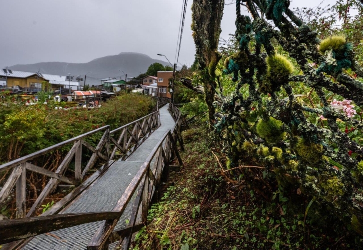 Bark EUROPA Puerto Eden