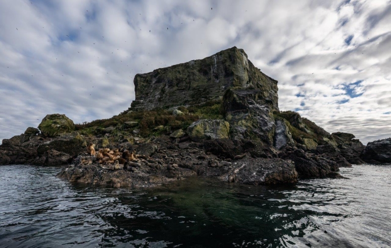 Desertores Islands · Islote Nihuel · Fur Seals · Cormorants · Sailing to Puerto Montt Bark EUROPA