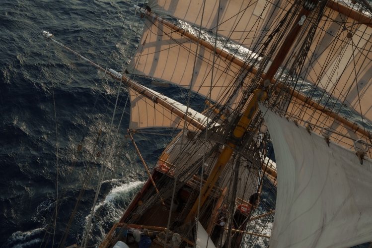Sailing to the Galápagos by Joshua Vela-Fonseca