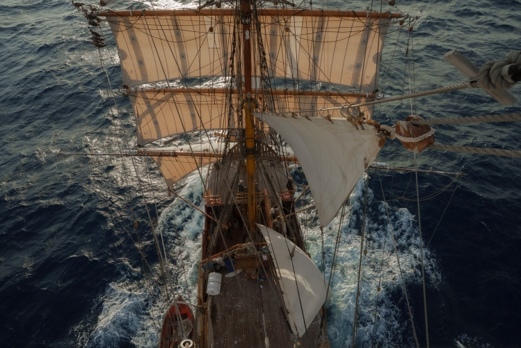 Sailing to the Galápagos by Joshua Vela-Fonseca