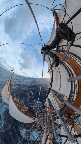 Sailing to the Galápagos by Joshua Vela-Fonseca