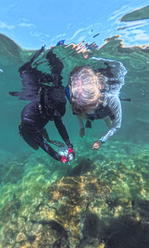 Bark EUROPA sailing the Pacific - Galapagos
