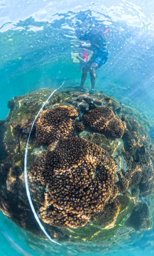Bark EUROPA sailing the Pacific - Galapagos