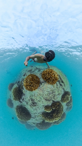Bark EUROPA sailing the Pacific - Galapagos