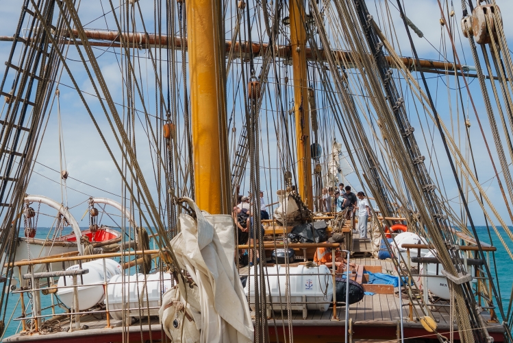 Charles Darwin Foundation Research and Bark EUROPA