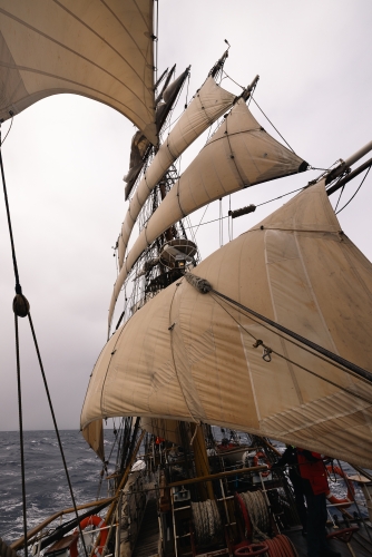 Bark EUROPA sailing from Rapa Nui to Pitcairn & Easter Island by Fraser Edwards